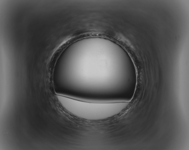 X0000086731352200704130739