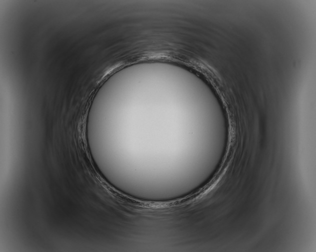 X0000086731353200704130739