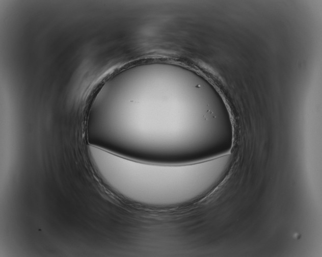X0000086731355200704130739