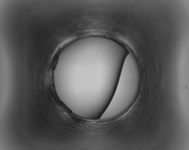 X0000086731357200704130739
