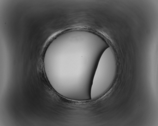 X0000086731358200704130739