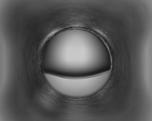 X0000086731359200704130739