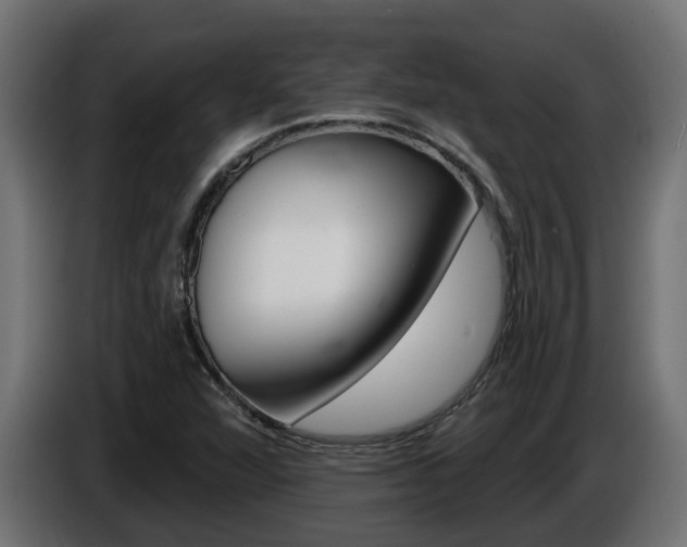 X0000086731360200704130739