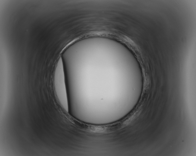 X0000086731361200704130739