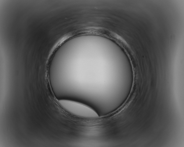 X0000086731362200704130739