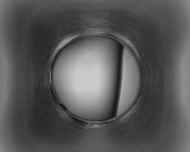 X0000086731365200704130738