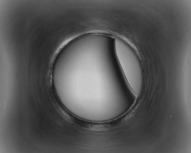 X0000086731367200704130738