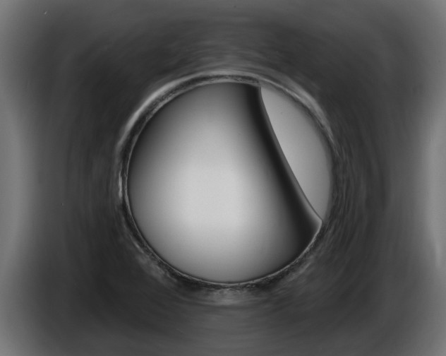 X0000086731368200704130738