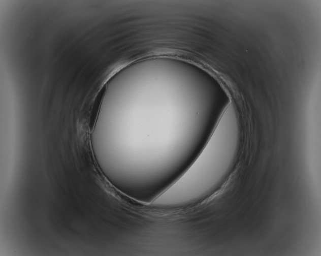 X0000086731369200704130738