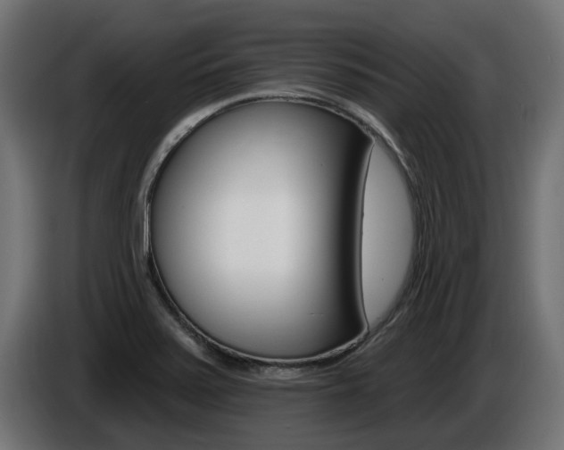 X0000086731371200704130738