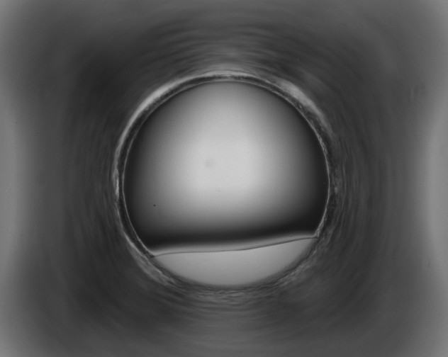 X0000086731372200704130738