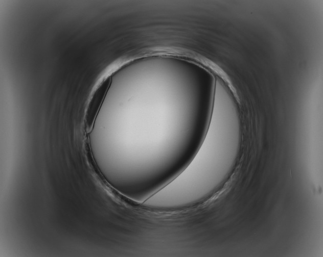 X0000086731373200704130738