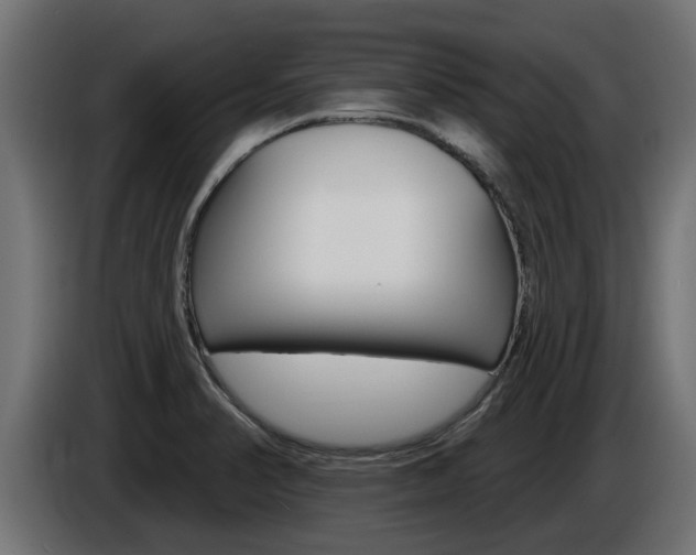 X0000086731374200704130738