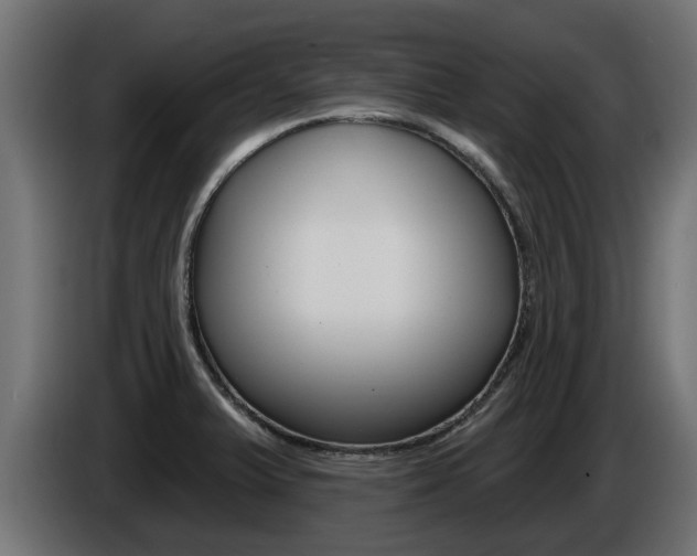 X0000086731375200704130738