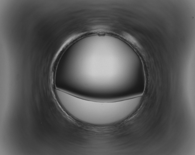 X0000086731376200704130738