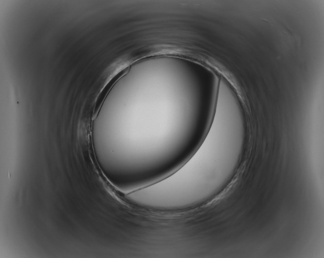 X0000086731377200704130738