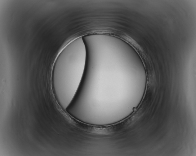 X0000086731378200704130738