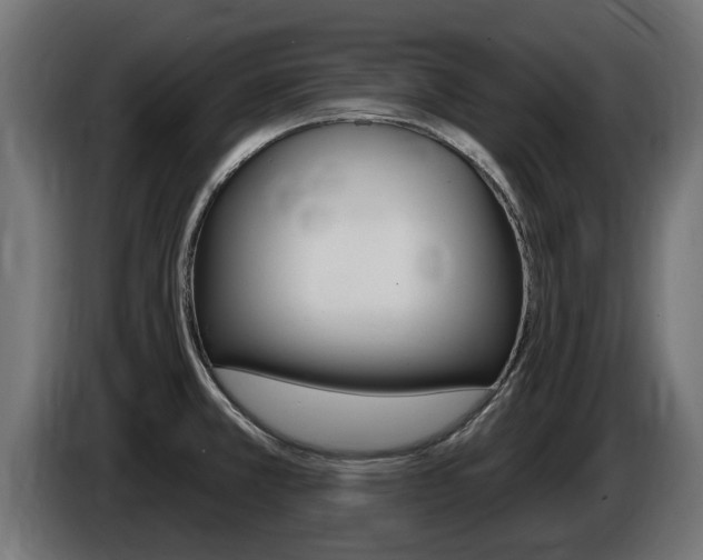 X0000086731381200704130738