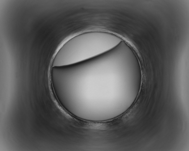 X0000086731382200704130738