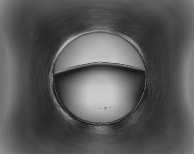 X0000086731383200704130738