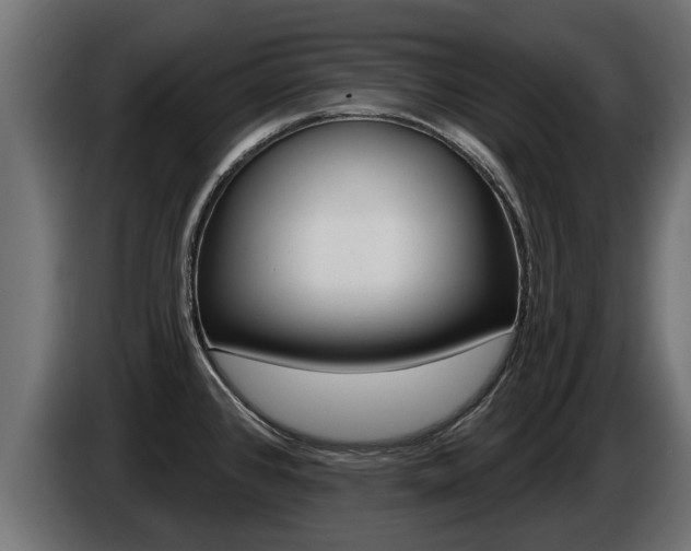 X0000086731384200704130738