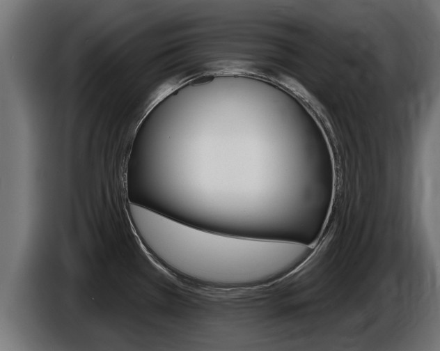 X0000086731385200704130738