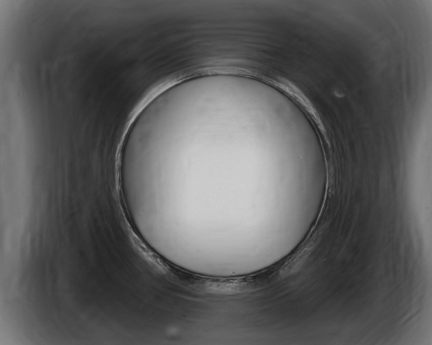X0000086731386200704130738
