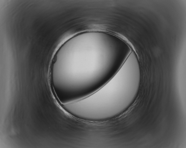 X0000086731387200704130738
