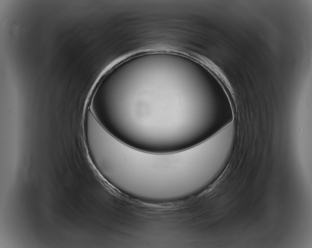 X0000086731388200704130738