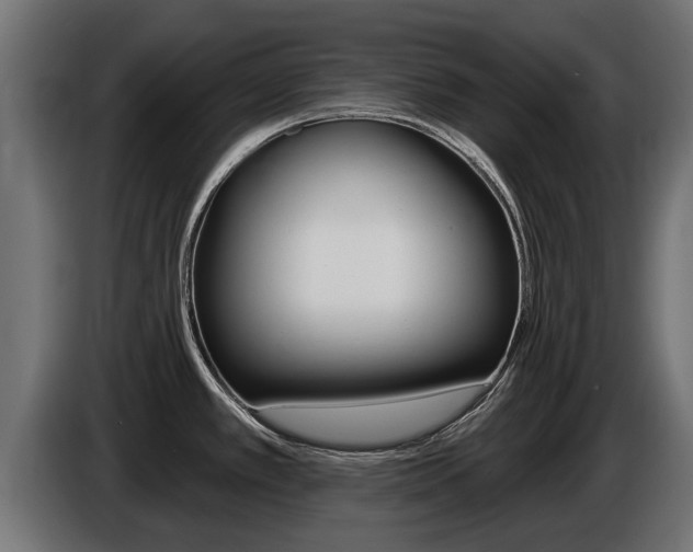X0000086731389200704130738