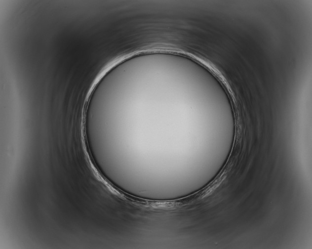 X0000086731390200704130738
