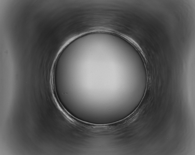 X0000086731391200704130738