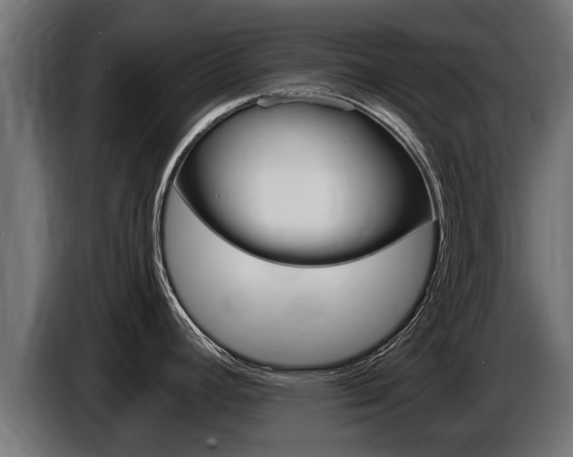 X0000086731392200704130738