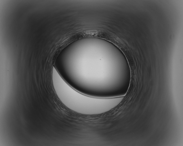 X0000086731394200704130738