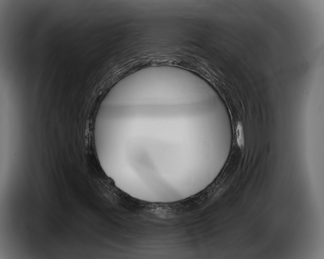 X0000086731395200704130738