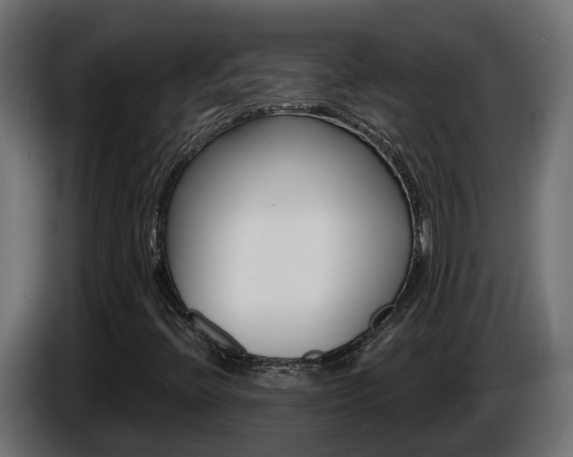 X0000086731396200704130738