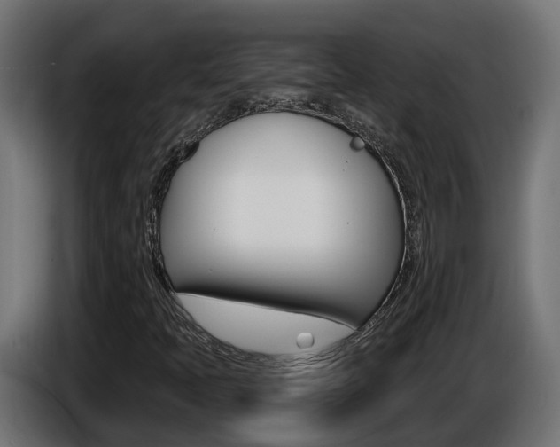 X0000086731397200704130738