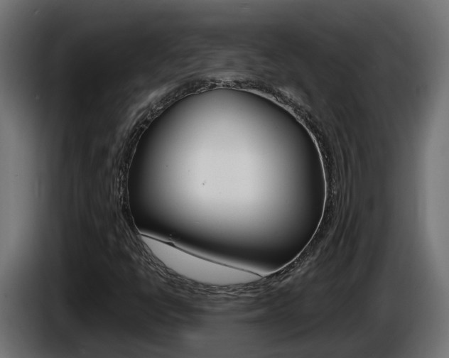 X0000086731398200704130738