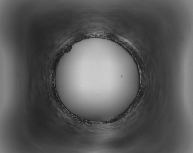 X0000086731399200704130738