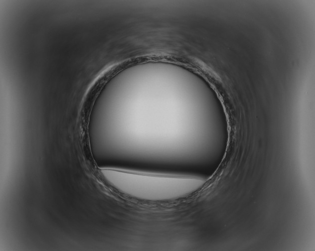 X0000086731400200704130738