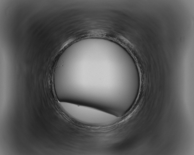 X0000086731401200704130738