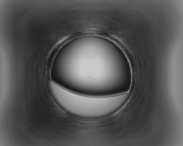 X0000086731402200704130738