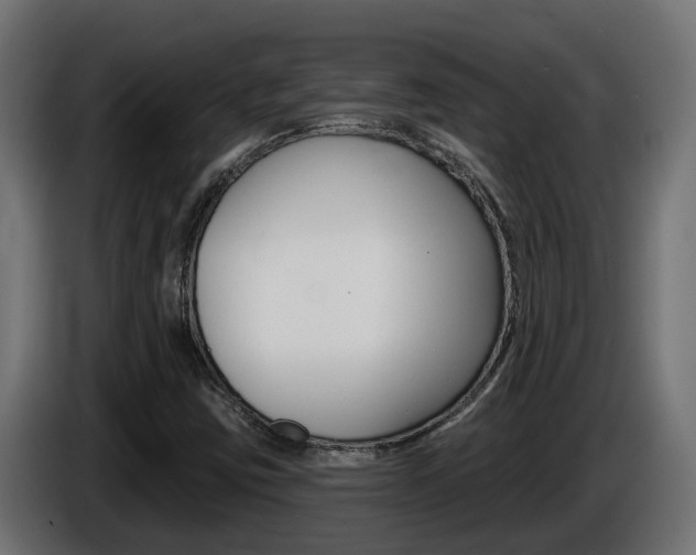 X0000086731403200704130738