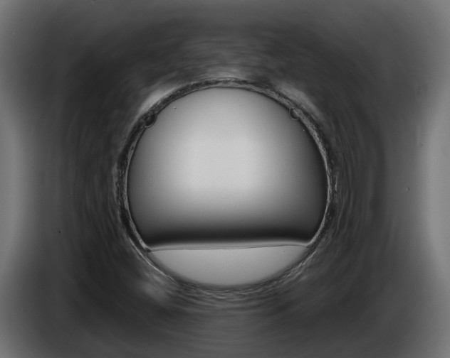 X0000086731404200704130738