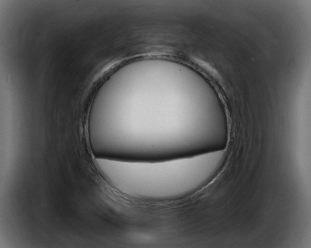 X0000086731407200704130738