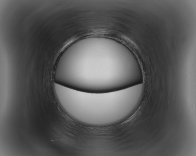 X0000086731409200704130738