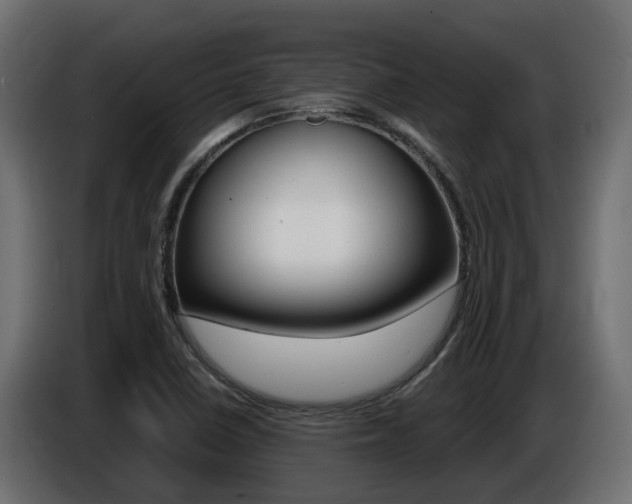 X0000086731410200704130738