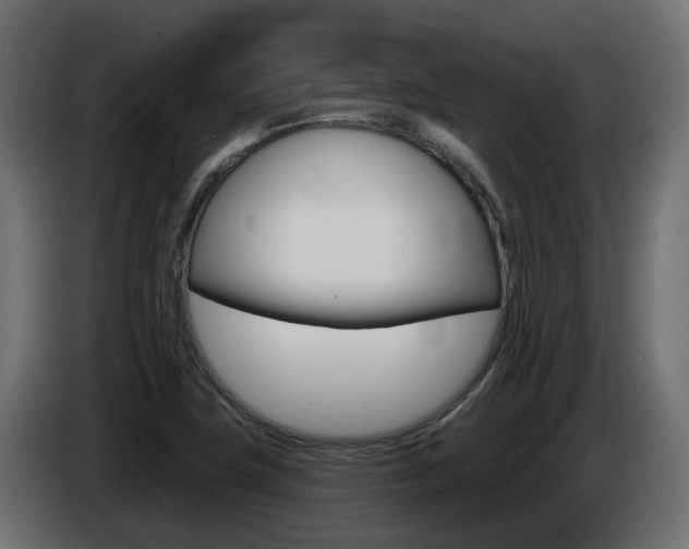 X0000086731411200704130738