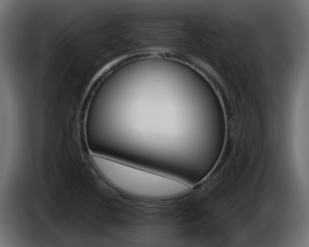 X0000086731412200704130738