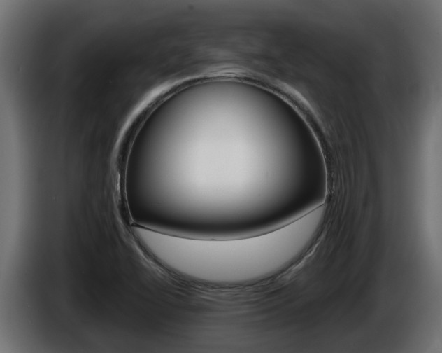 X0000086731414200704130738